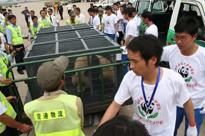 �����C���_ͨ���Gɫͨ����ӭ�Ӈ���(�D)